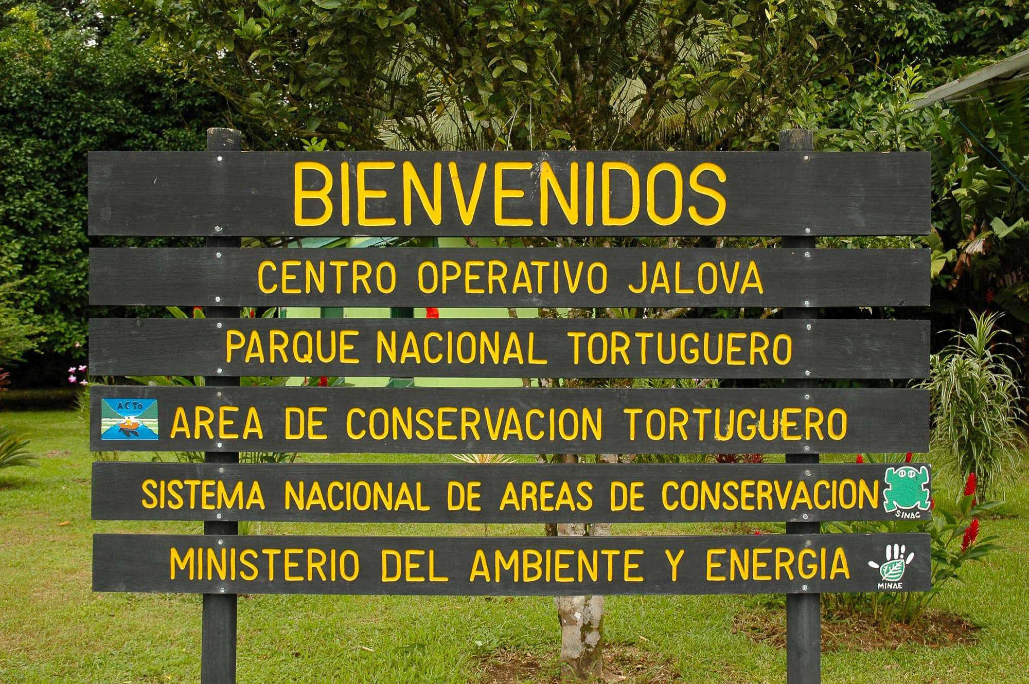 Tortuguero National Park  bord, Costa Rica