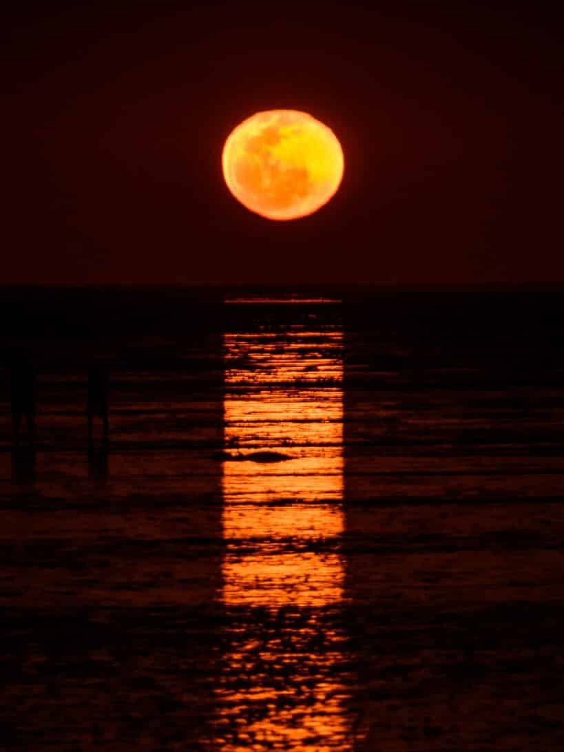 photo by: Rodney Campbell